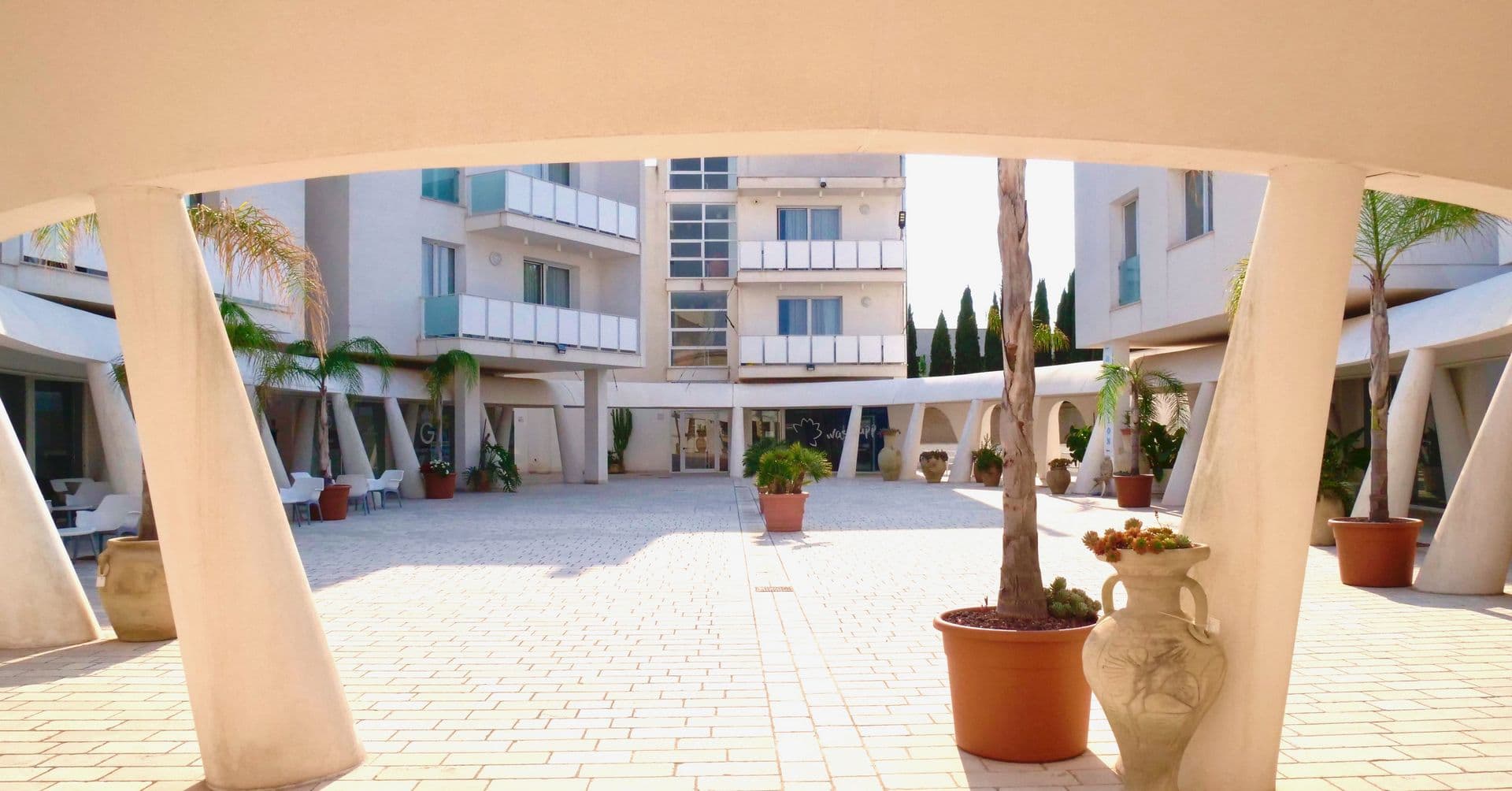 White architecture and palms in the residence courtyard